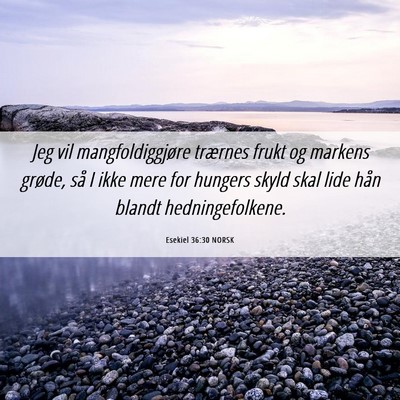 Picture 06 - Esekiel 36:30 NORSK - Jeg vil mangfoldiggjøre trærnes frukt og - Bible Verse Picture