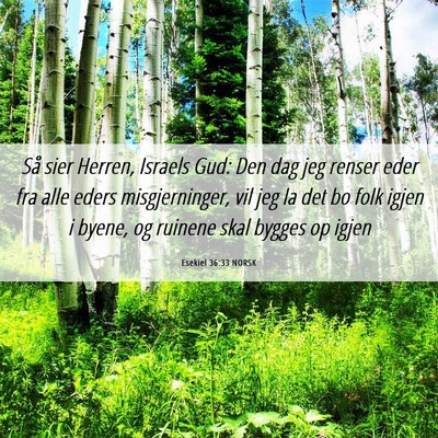 Picture 06 - Esekiel 36:33 NORSK - Så sier Herren, Israels Gud: Den dag jeg renser - Bible Verse Picture