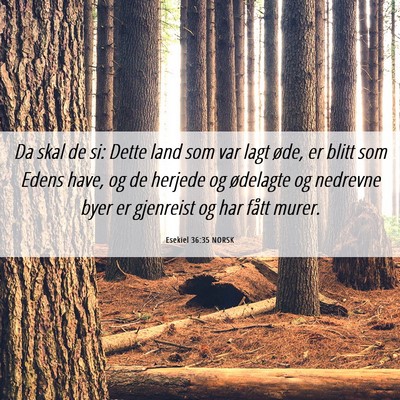 Picture 06 - Esekiel 36:35 NORSK - Da skal de si: Dette land som var lagt øde, er - Bible Verse Picture