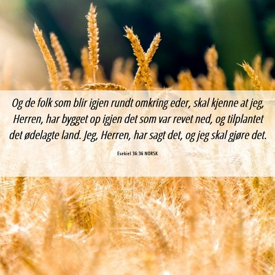 Picture 06 - Esekiel 36:36 NORSK - Og de folk som blir igjen rundt omkring eder, - Bible Verse Picture