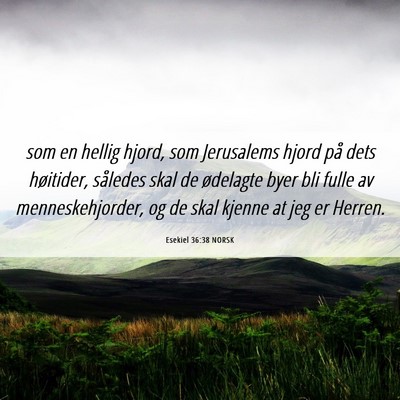 Picture 06 - Esekiel 36:38 NORSK - som en hellig hjord, som Jerusalems hjord på - Bible Verse Picture