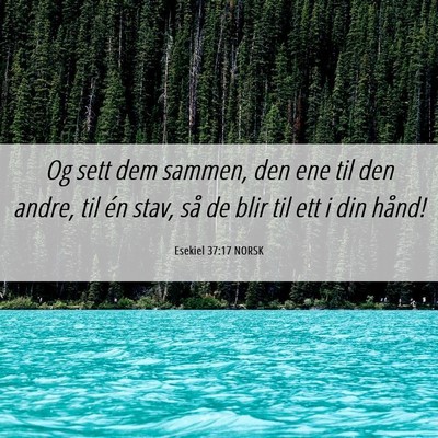 Picture 06 - Esekiel 37:17 NORSK - Og sett dem sammen, den ene til den andre, til - Bible Verse Picture