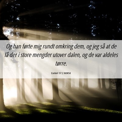 Picture 06 - Esekiel 37:2 NORSK - Og han førte mig rundt omkring dem, og jeg så - Bible Verse Picture