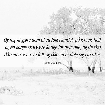Picture 06 - Esekiel 37:22 NORSK - Og jeg vil gjøre dem til ett folk i landet, på - Bible Verse Picture