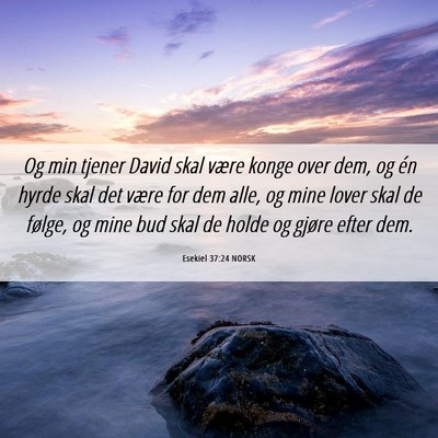 Picture 06 - Esekiel 37:24 NORSK - Og min tjener David skal være konge over dem, og - Bible Verse Picture
