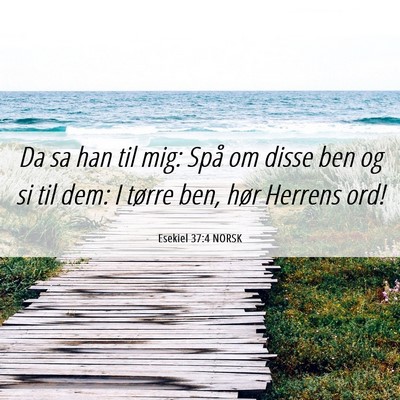 Picture 06 - Esekiel 37:4 NORSK - Da sa han til mig: Spå om disse ben og si til - Bible Verse Picture