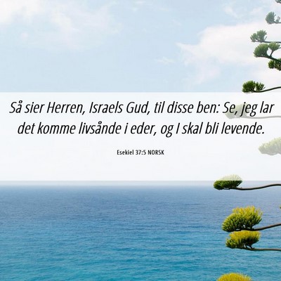 Picture 06 - Esekiel 37:5 NORSK - Så sier Herren, Israels Gud, til disse ben: Se, - Bible Verse Picture