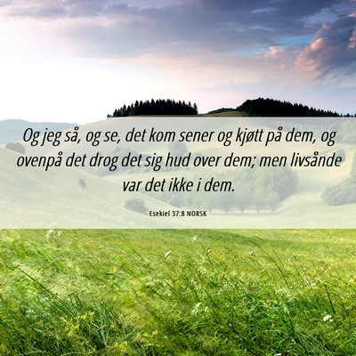 Picture 06 - Esekiel 37:8 NORSK - Og jeg så, og se, det kom sener og kjøtt på - Bible Verse Picture