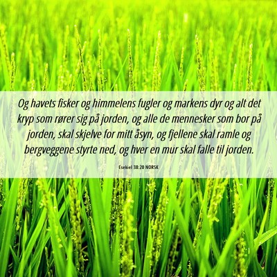 Picture 06 - Esekiel 38:20 NORSK - Og havets fisker og himmelens fugler og markens - Bible Verse Picture