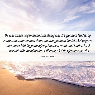 Picture 06 - Esekiel 39:14 NORSK - De skal utkåre nogen menn som stadig skal dra - Bible Verse Picture