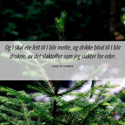 Picture 06 - Esekiel 39:19 NORSK - Og I skal ete fett til I blir mette, og drikke - Bible Verse Picture
