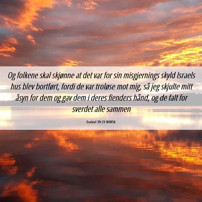 Picture 06 - Esekiel 39:23 NORSK - Og folkene skal skjønne at det var for sin - Bible Verse Picture