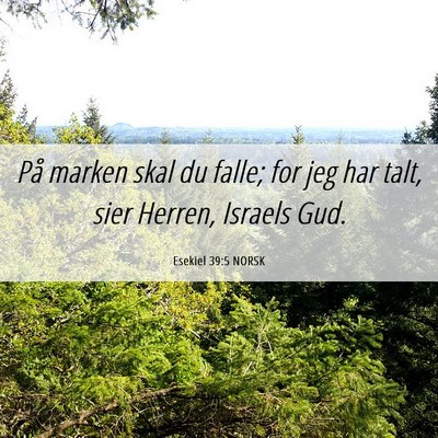 Picture 06 - Esekiel 39:5 NORSK - På marken skal du falle; for jeg har talt, sier - Bible Verse Picture