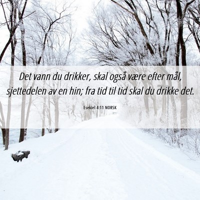 Picture 06 - Esekiel 4:11 NORSK - Det vann du drikker, skal også være efter mål, - Bible Verse Picture