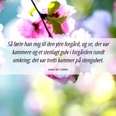 Picture 06 - Esekiel 40:17 NORSK - Så førte han mig til den ytre forgård, og se, - Bible Verse Picture