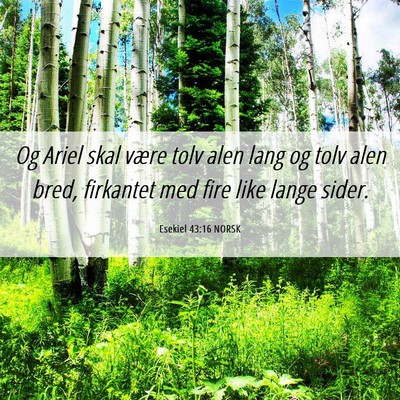 Picture 06 - Esekiel 43:16 NORSK - Og Ariel skal være tolv alen lang og tolv alen - Bible Verse Picture