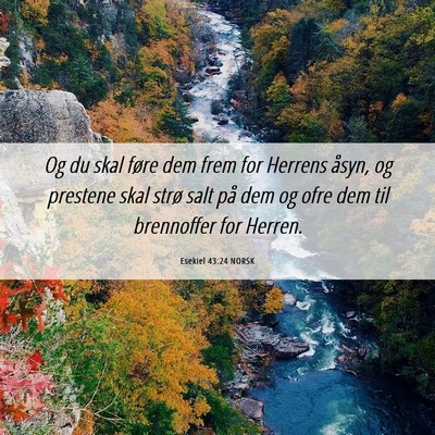 Picture 06 - Esekiel 43:24 NORSK - Og du skal føre dem frem for Herrens åsyn, og - Bible Verse Picture