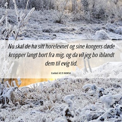 Picture 06 - Esekiel 43:9 NORSK - Nu skal de ha sitt horelevnet og sine kongers - Bible Verse Picture