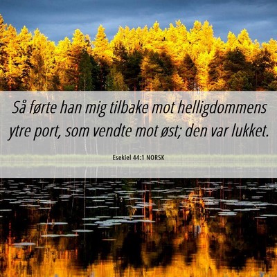 Picture 06 - Esekiel 44:1 NORSK - Så førte han mig tilbake mot helligdommens ytre - Bible Verse Picture