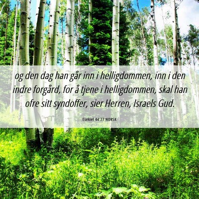 Picture 06 - Esekiel 44:27 NORSK - og den dag han går inn i helligdommen, inn i den - Bible Verse Picture