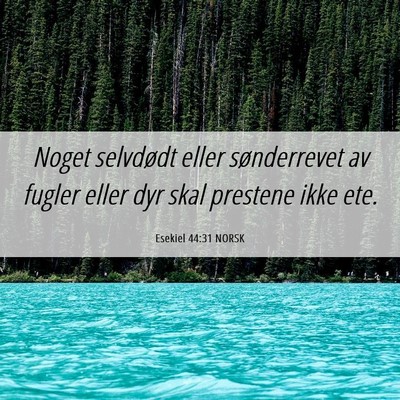 Picture 06 - Esekiel 44:31 NORSK - Noget selvdødt eller sønderrevet av fugler - Bible Verse Picture