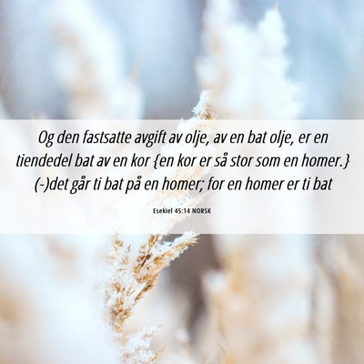 Picture 06 - Esekiel 45:14 NORSK - Og den fastsatte avgift av olje, av en bat olje, - Bible Verse Picture