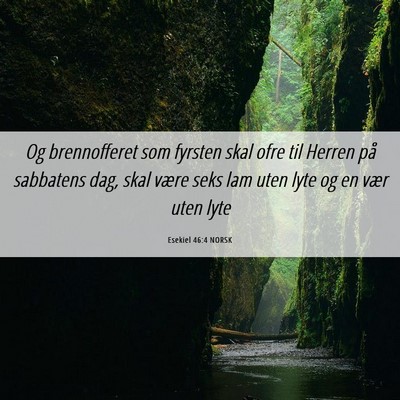 Picture 06 - Esekiel 46:4 NORSK - Og brennofferet som fyrsten skal ofre til Herren - Bible Verse Picture