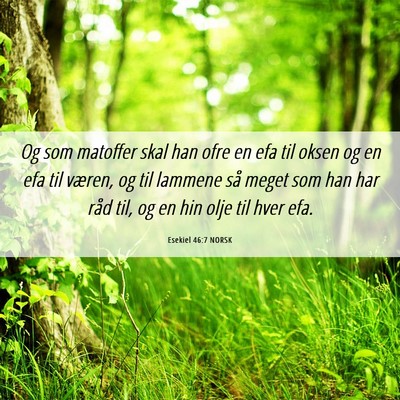 Picture 06 - Esekiel 46:7 NORSK - Og som matoffer skal han ofre en efa til oksen og - Bible Verse Picture