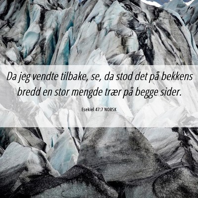 Picture 06 - Esekiel 47:7 NORSK - Da jeg vendte tilbake, se, da stod det på - Bible Verse Picture