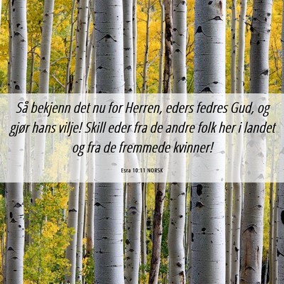 Picture 06 - Esra 10:11 NORSK - Så bekjenn det nu for Herren, eders fedres Gud, - Bible Verse Picture