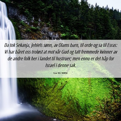 Picture 06 - Esra 10:2 NORSK - Da tok Sekanja, Jehiels sønn, av Olams barn, til - Bible Verse Picture