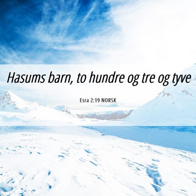 Picture 06 - Esra 2:19 NORSK - Hasums barn, to hundre og tre og - Bible Verse Picture