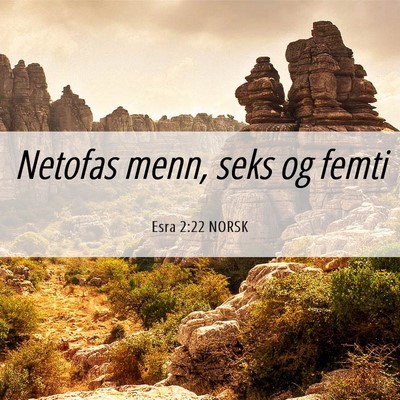 Picture 06 - Esra 2:22 NORSK - Netofas menn, seks og - Bible Verse Picture