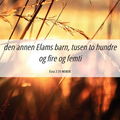 Picture 06 - Esra 2:31 NORSK - den annen Elams barn, tusen to hundre og fire og - Bible Verse Picture