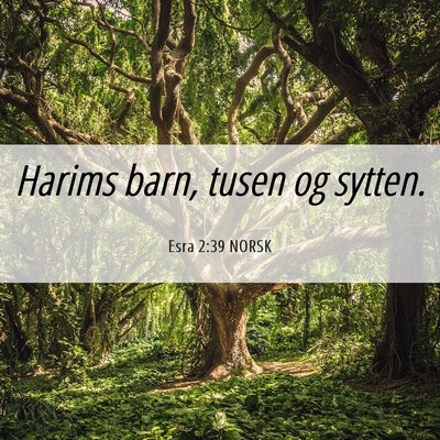 Picture 06 - Esra 2:39 NORSK - Harims barn, tusen og - Bible Verse Picture