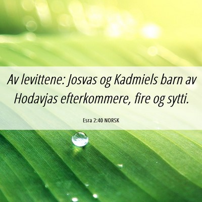 Picture 06 - Esra 2:40 NORSK - Av levittene: Josvas og Kadmiels barn av Hodavjas - Bible Verse Picture