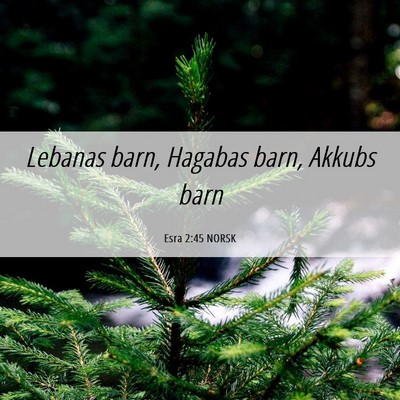 Picture 06 - Esra 2:45 NORSK - Lebanas barn, Hagabas barn, Akkubs - Bible Verse Picture