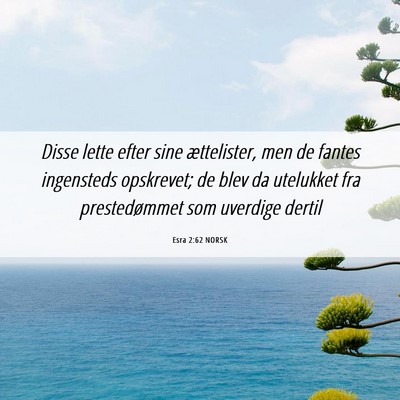 Picture 06 - Esra 2:62 NORSK - Disse lette efter sine ættelister, men de fantes - Bible Verse Picture