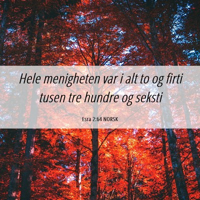 Picture 06 - Esra 2:64 NORSK - Hele menigheten var i alt to og firti tusen tre - Bible Verse Picture