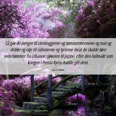 Picture 06 - Esra 3:7 NORSK - Så gav de penger til stenhuggerne og - Bible Verse Picture