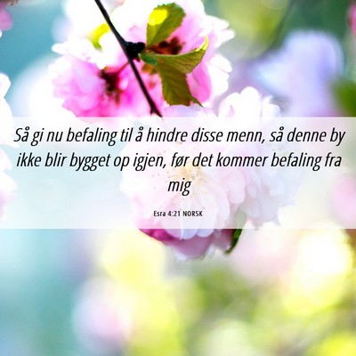 Picture 06 - Esra 4:21 NORSK - Så gi nu befaling til å hindre disse menn, så - Bible Verse Picture