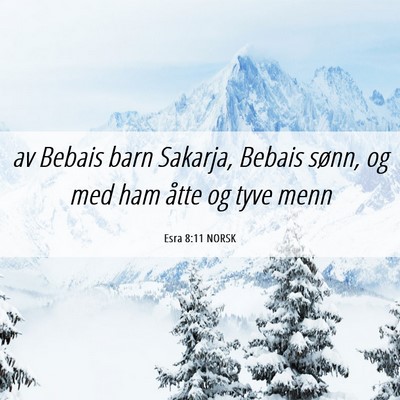 Picture 06 - Esra 8:11 NORSK - av Bebais barn Sakarja, Bebais sønn, og med ham - Bible Verse Picture