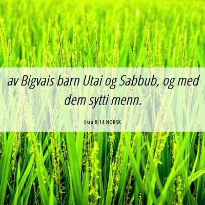 Picture 06 - Esra 8:14 NORSK - av Bigvais barn Utai og Sabbub, og med dem sytti - Bible Verse Picture