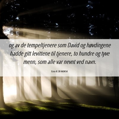 Picture 06 - Esra 8:20 NORSK - og av de tempeltjenere som David og høvdingene - Bible Verse Picture