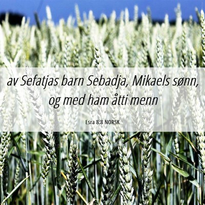 Picture 06 - Esra 8:8 NORSK - av Sefatjas barn Sebadja, Mikaels sønn, og med - Bible Verse Picture