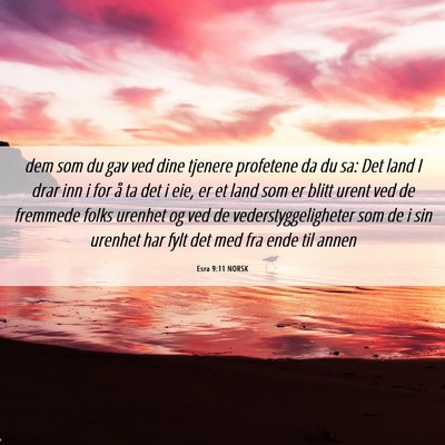 Picture 06 - Esra 9:11 NORSK - dem som du gav ved dine tjenere profetene da du - Bible Verse Picture