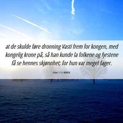 Picture 06 - Ester 1:11 NORSK - at de skulde føre dronning Vasti frem for - Bible Verse Picture
