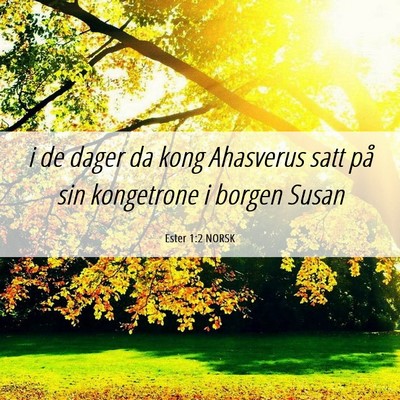 Picture 06 - Ester 1:2 NORSK - i de dager da kong Ahasverus satt på sin - Bible Verse Picture