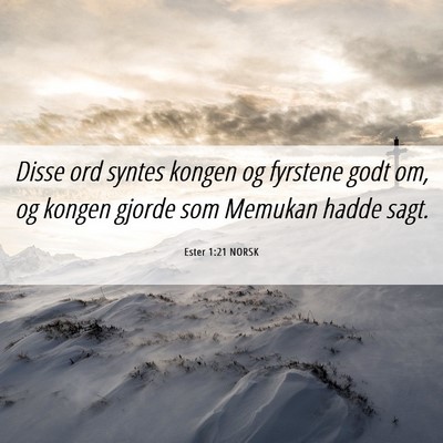 Picture 06 - Ester 1:21 NORSK - Disse ord syntes kongen og fyrstene godt om, og - Bible Verse Picture