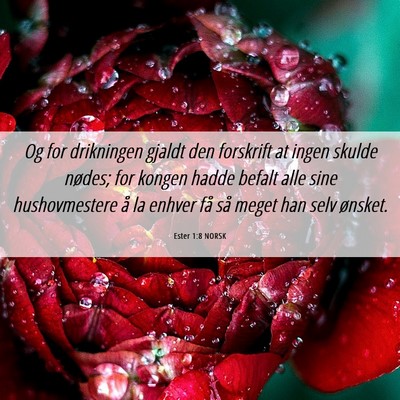 Picture 06 - Ester 1:8 NORSK - Og for drikningen gjaldt den forskrift at ingen - Bible Verse Picture
